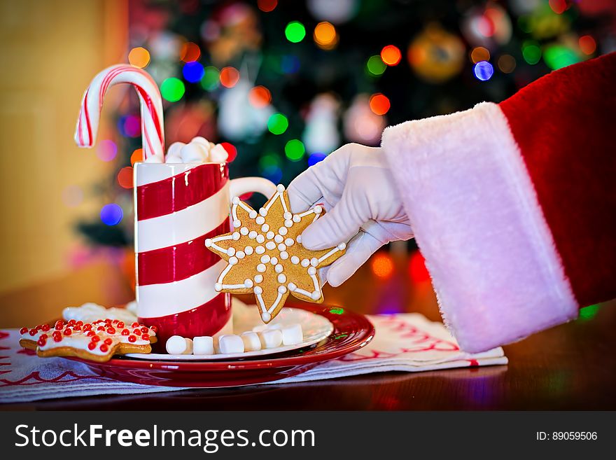 Hand of Santa Claus holding selection of traditional Christmas candy with tree in background. Hand of Santa Claus holding selection of traditional Christmas candy with tree in background.