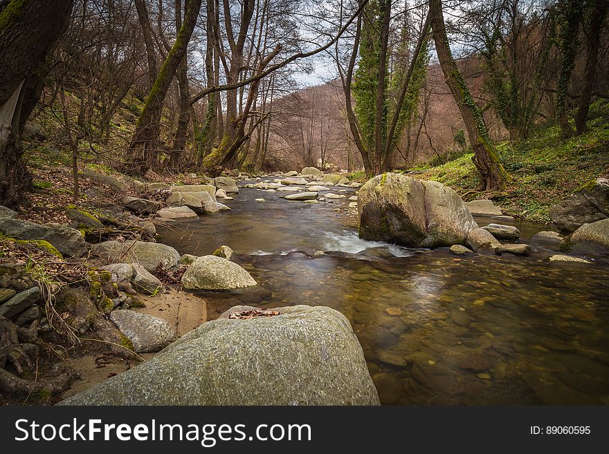 Stream Flowing Through Woods