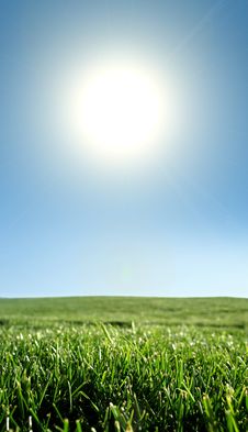 Meadow Of Grass Royalty Free Stock Image Meadow Of Grass Royalty Free Stock Image