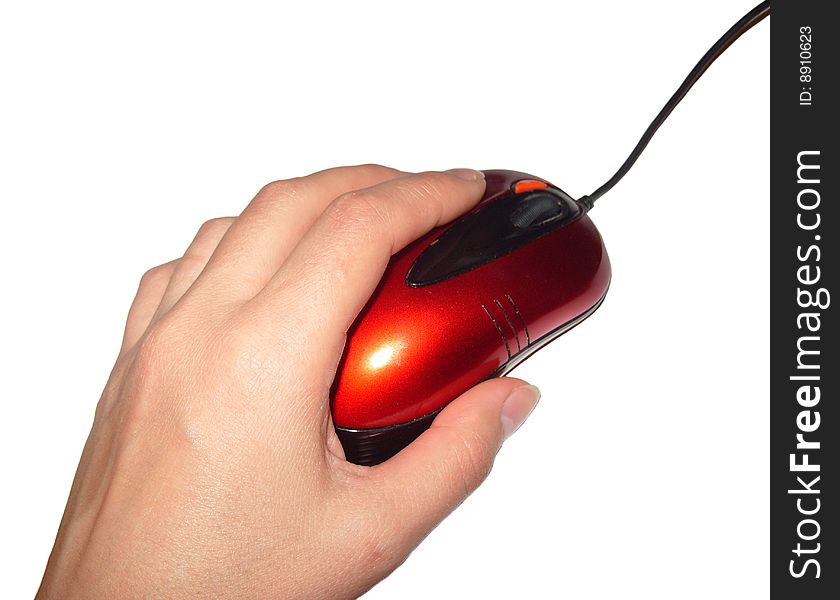 Persons keeps in hand redden computer mouse