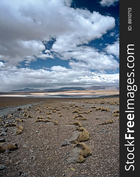 Wide Landscape in the south west of Bolivia ,Bolivia. Wide Landscape in the south west of Bolivia ,Bolivia