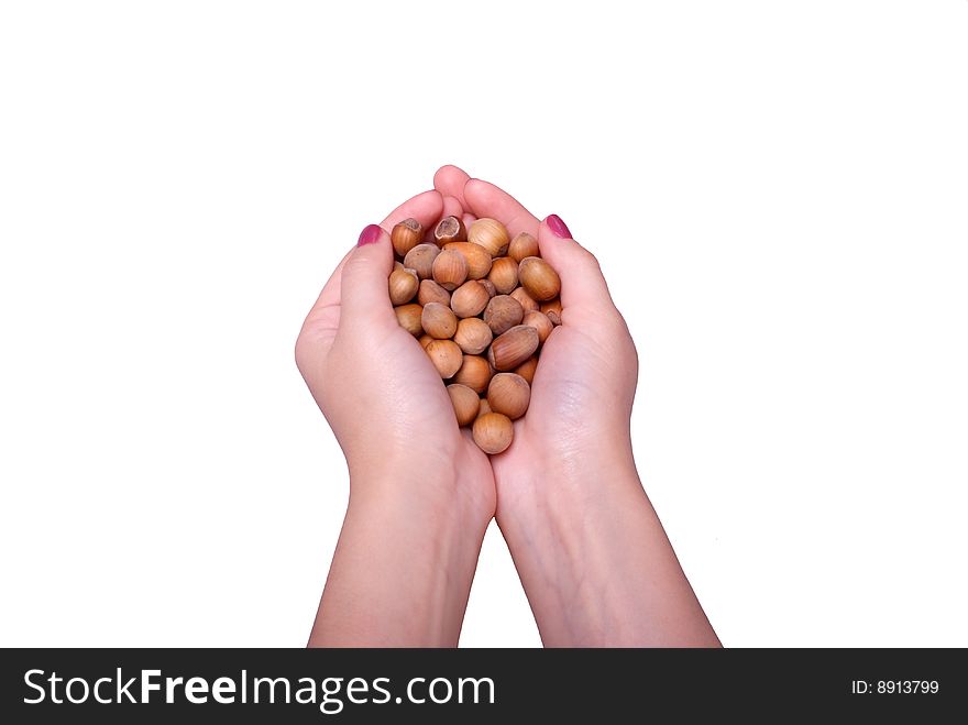 Female Hands From Handfuls Of Wood Nuts