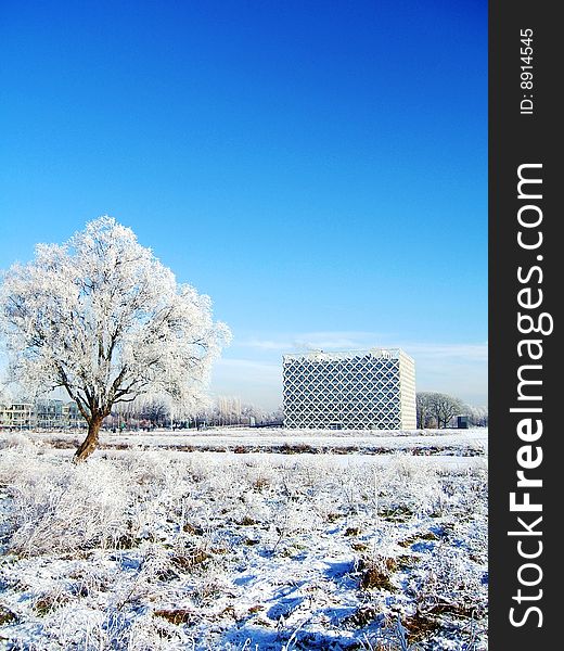 Winter view of the campus of Wageningen University. Winter view of the campus of Wageningen University