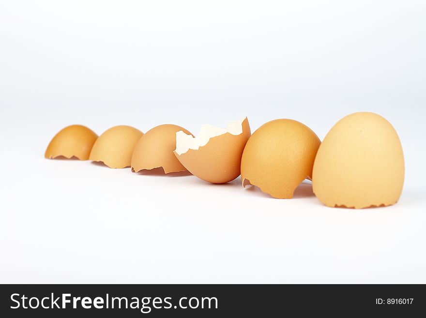 Six eggs shells in row