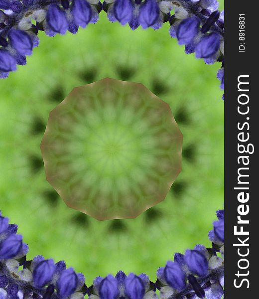 Close up of a flower altered into a kaleidoscope. Close up of a flower altered into a kaleidoscope