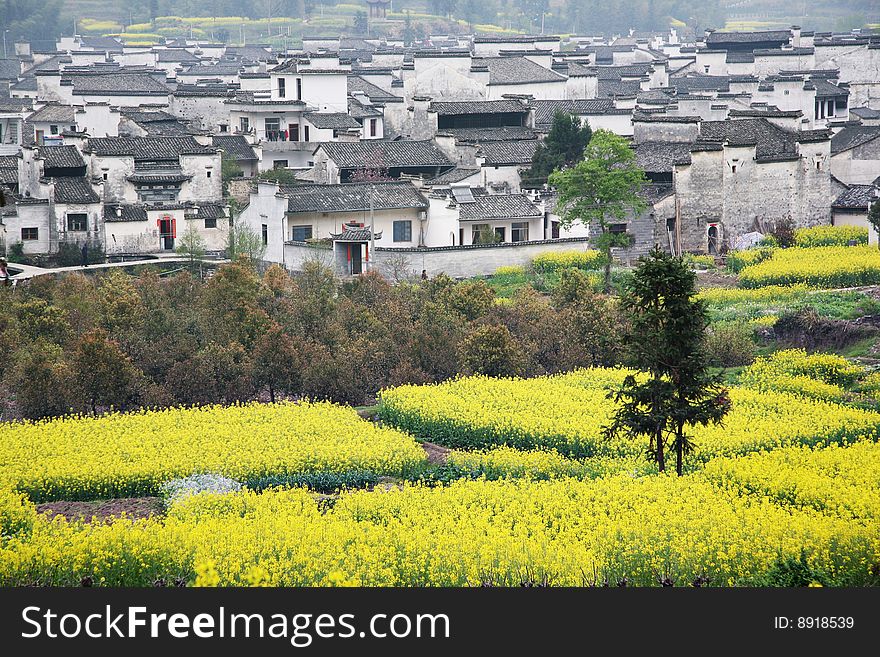 China's rural landscape, rape and villages,anhui. China's rural landscape, rape and villages,anhui