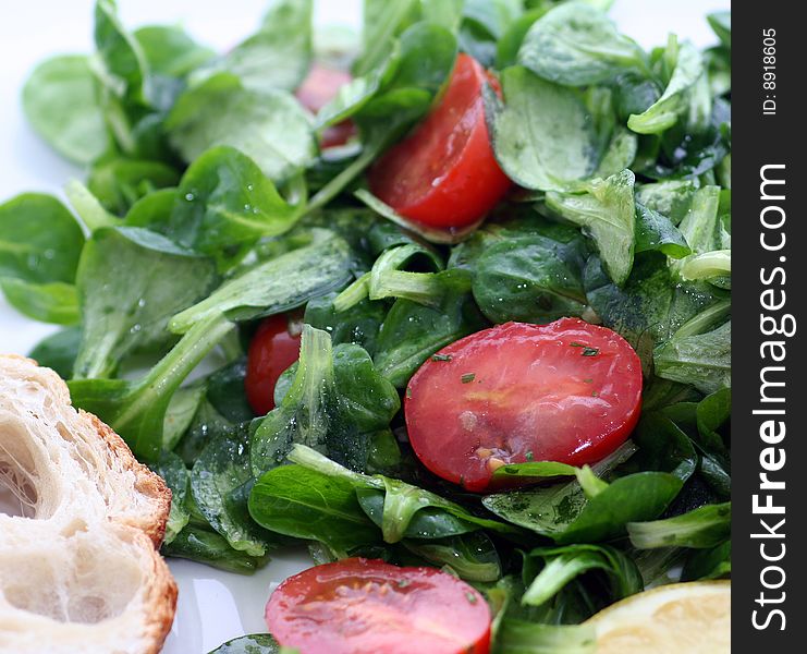 A fresh salad of field-salad with tomatoes