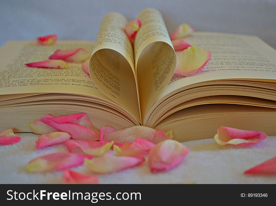 A close up of an open book with folded pages forming heart shape and rose petals around it. A close up of an open book with folded pages forming heart shape and rose petals around it.