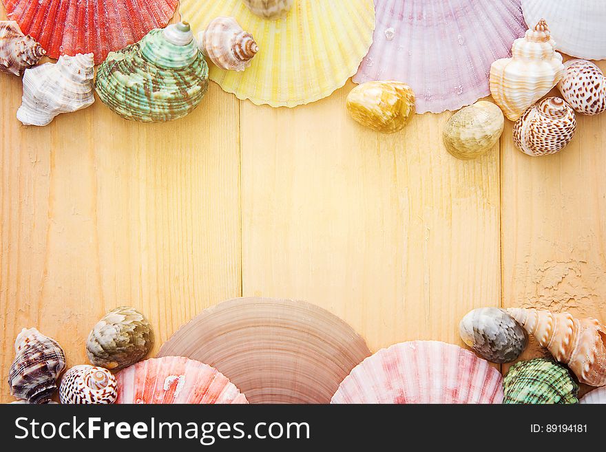 Rustic wooden planks bordered with colorful seashells with copy space. Rustic wooden planks bordered with colorful seashells with copy space.