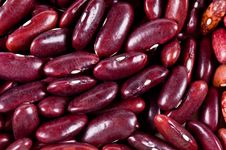 Haricot Beans Stock Photos