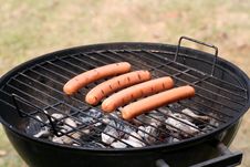 Spring Grilling Royalty Free Stock Photos Spring Grilling Royalty Free Stock Photos
