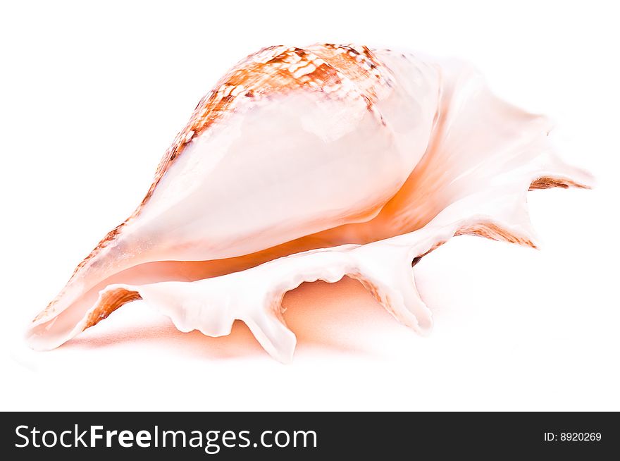 Shell Isolated