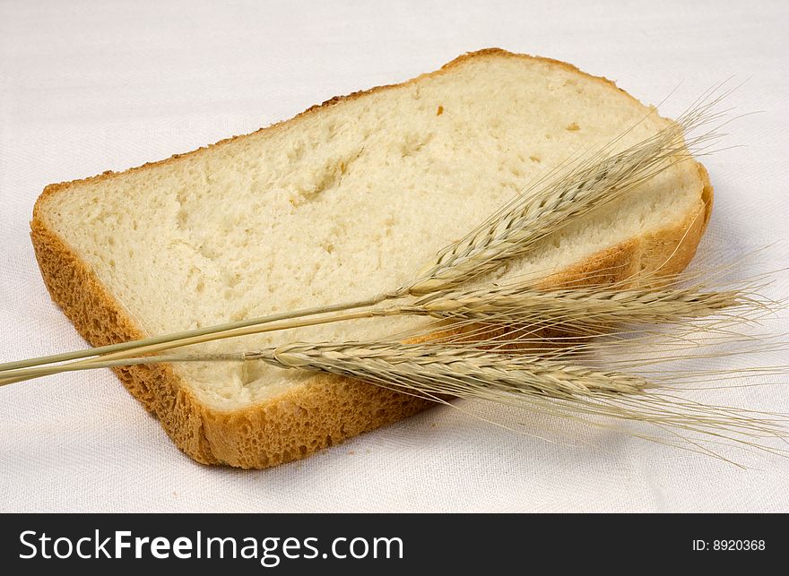 The Piece of bread, ear of the wheat on white background. The Piece of bread, ear of the wheat on white background.