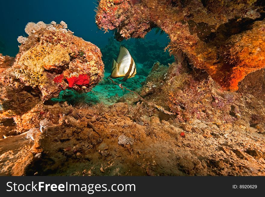 Parts Of The Stern Of The Dunraven