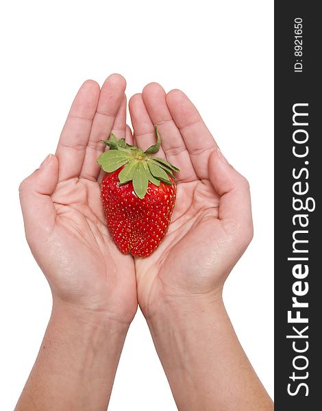 Woman hand olding one strawberry. Woman hand olding one strawberry