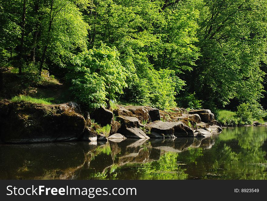 Green trees and stones on river bank. Green trees and stones on river bank