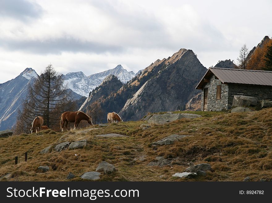 Mountain chalet on alps