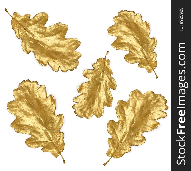 Golden oak leaves in abstract design over white background.