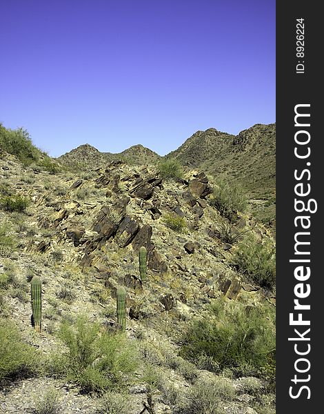 Arizona mountain against a blue sky, in vertical orientation