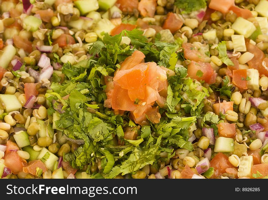 Mung Bean Sprout Salad Close-Up