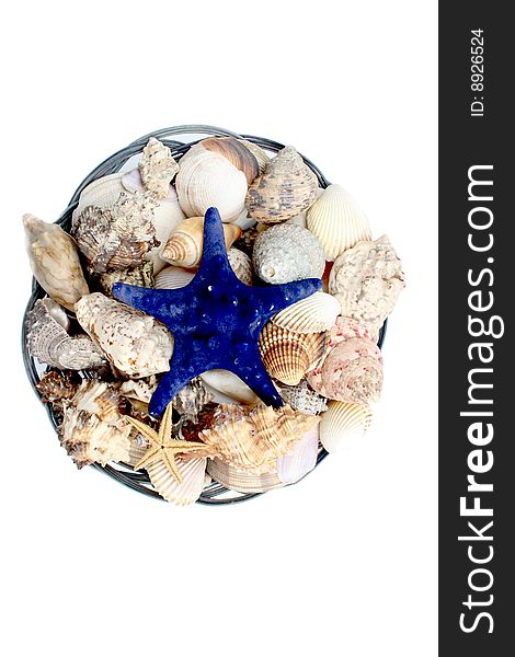 Blue starfish and shells in a bowl