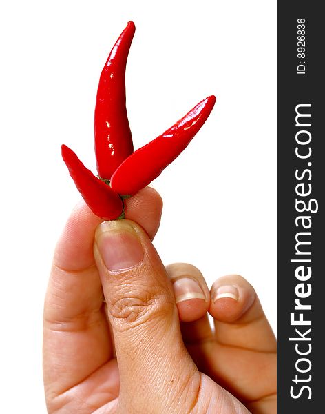 Close up capture on hand hold red spicy chili. Close up capture on hand hold red spicy chili