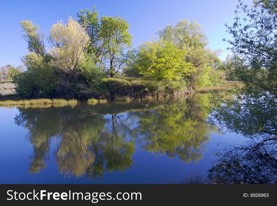 American River Pond With Reflection 2