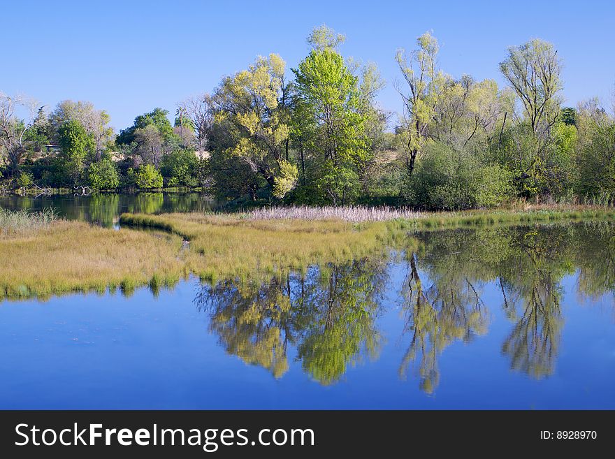 American River Pond With Reflection 3