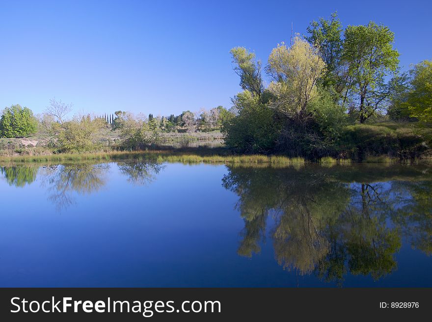 American River Parkway side tributary on a calm day show dramatic Reflection of trees. American River Parkway side tributary on a calm day show dramatic Reflection of trees