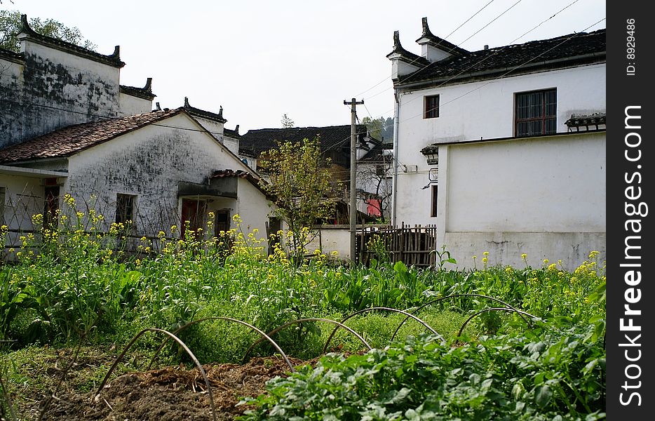 It is  Wuyuan,in Jiangxi province, China . It is  Wuyuan,in Jiangxi province, China .