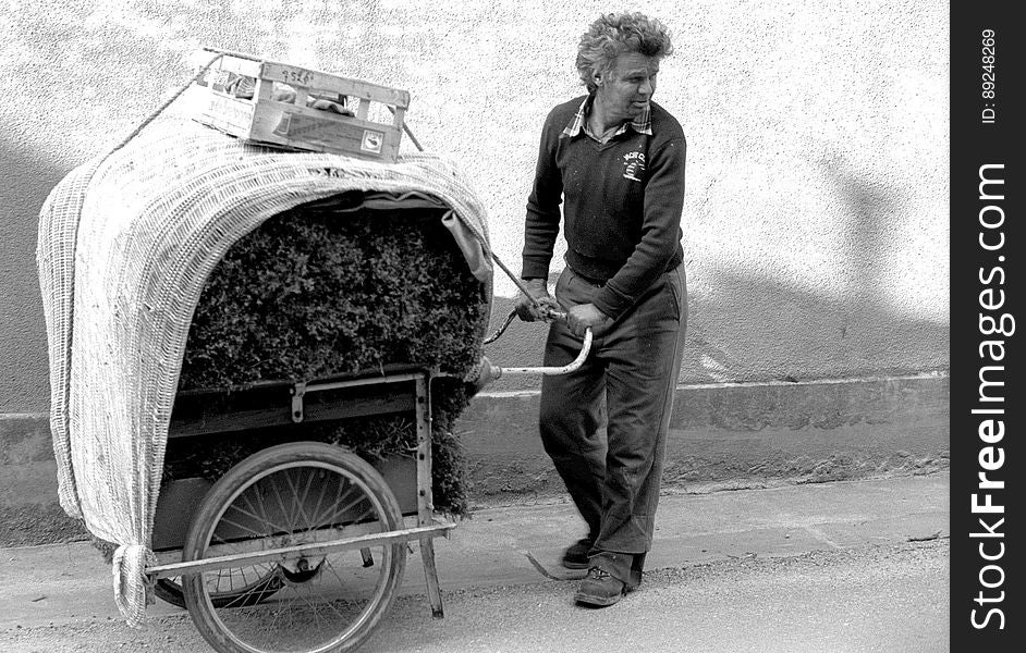 Some pictures of my campaign, usually made around 1995 of a forgotten life in Champagne. Some pictures of my campaign, usually made around 1995 of a forgotten life in Champagne.