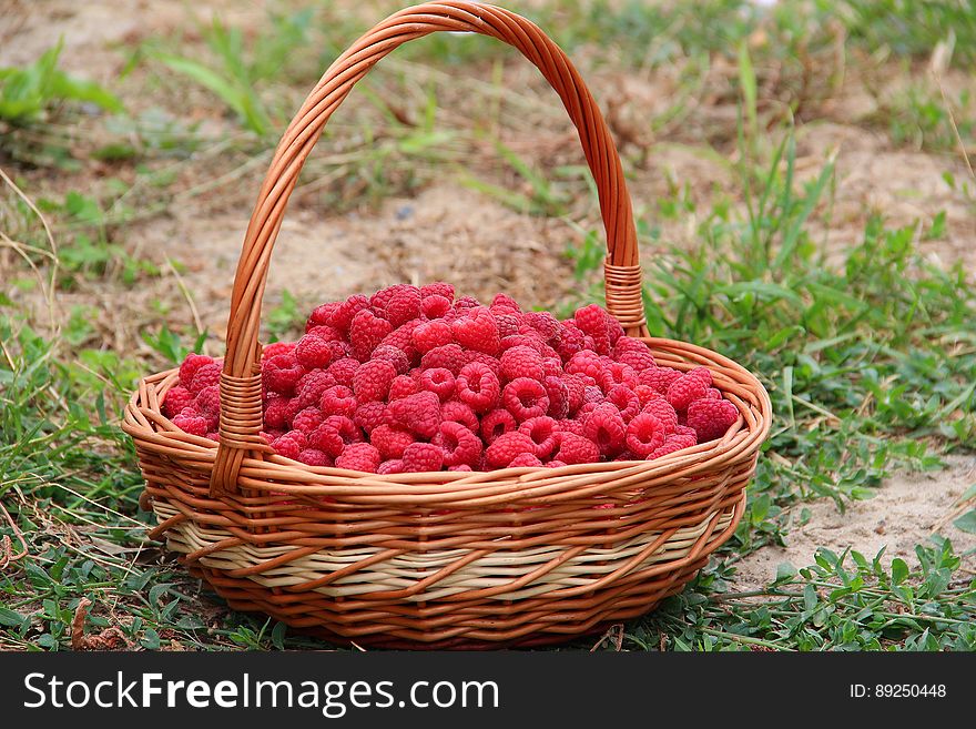 A wicker basket full of raspberries on green grass. A wicker basket full of raspberries on green grass.