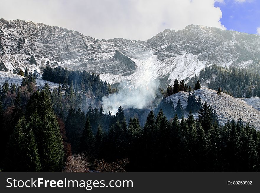 A mountain landscape with snowy slopes and green conifer forest.