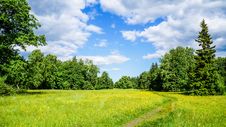 Russia. Pavlovsk Park In Early June 2016 . A Natural Landscape. Royalty Free Stock Photography Russia. Pavlovsk Park In Early June 2016 . A Natural Landscape. Royalty Free Stock Photography