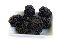 Blackberry On A Plate Royalty Free Stock Image Blackberry On A Plate Royalty Free Stock Image