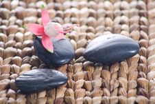 Zen Stones With Pink Flowers Royalty Free Stock Image Zen Stones With Pink Flowers Royalty Free Stock Image