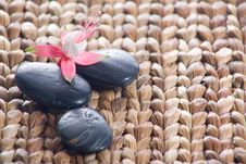 Zen Stones With Pink Flowers Stock Image Zen Stones With Pink Flowers Stock Image