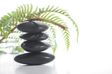 Zen Stones With A Fern Royalty Free Stock Image Zen Stones With A Fern Royalty Free Stock Image