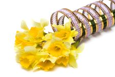 Yellow Daffodil With Ribbon Stock Images Yellow Daffodil With Ribbon Stock Images