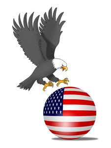 The USA Eagle Stock Image