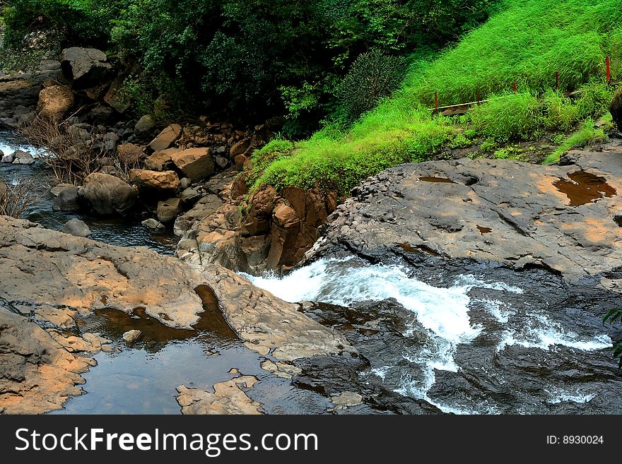 A beautiful and vibrant scene with stream water flowing. A beautiful and vibrant scene with stream water flowing.
