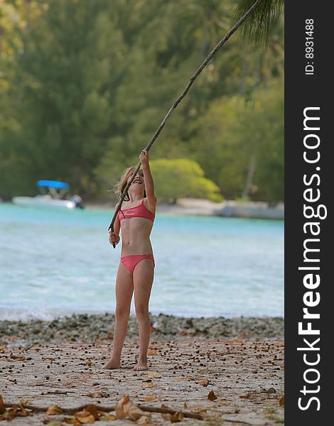 Girl reaching fruits with a pole. Girl reaching fruits with a pole