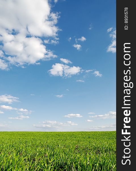 Spring green field under blue sky. Spring green field under blue sky