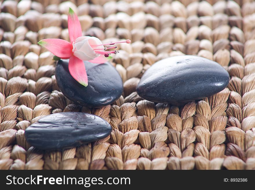 Zen stones with pink flowers