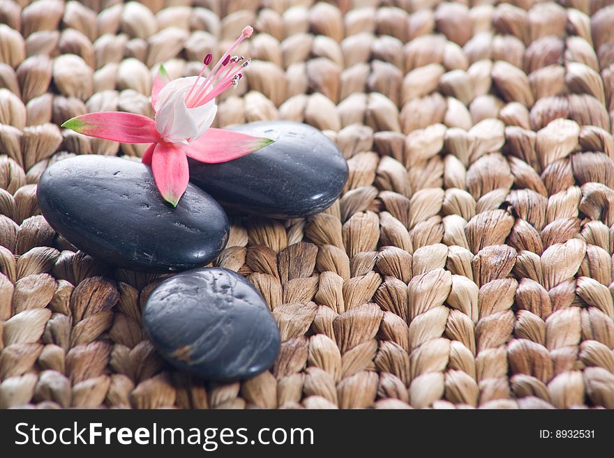 Zen stones with pink flowers on a grass matte