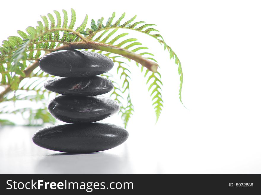 Zen stones with a fern isolated on white