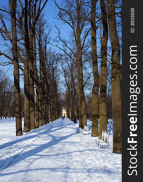 Winter Path In Tzarskoe Selo