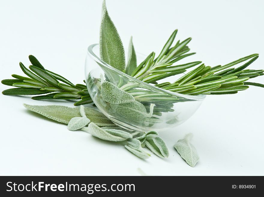 Bunch of herbs of rosemary and sage. Bunch of herbs of rosemary and sage
