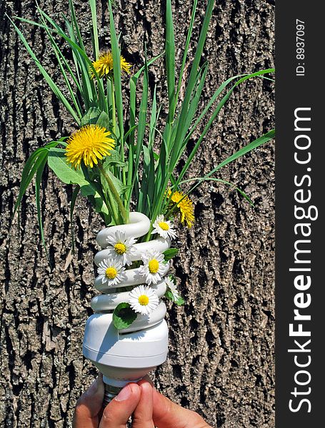 Ecologic light bulb with green plants and flowers. Ecologic light bulb with green plants and flowers