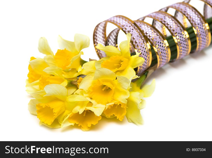 Yellow daffodil with ribbon